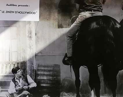 Zinzin d'Hollywood (le)